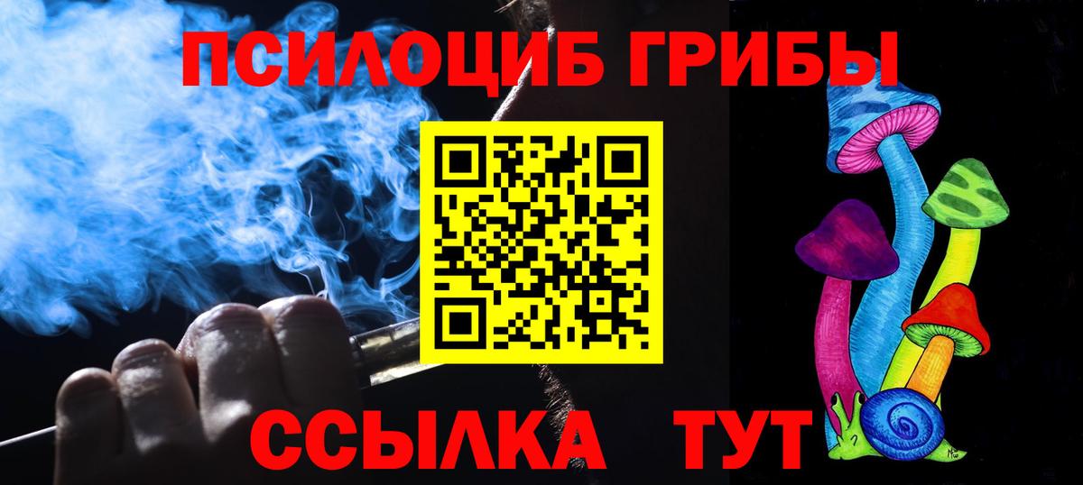 Зима  Псилоцибиновые грибы ЛСД  где можно купить   Вход с VPN 