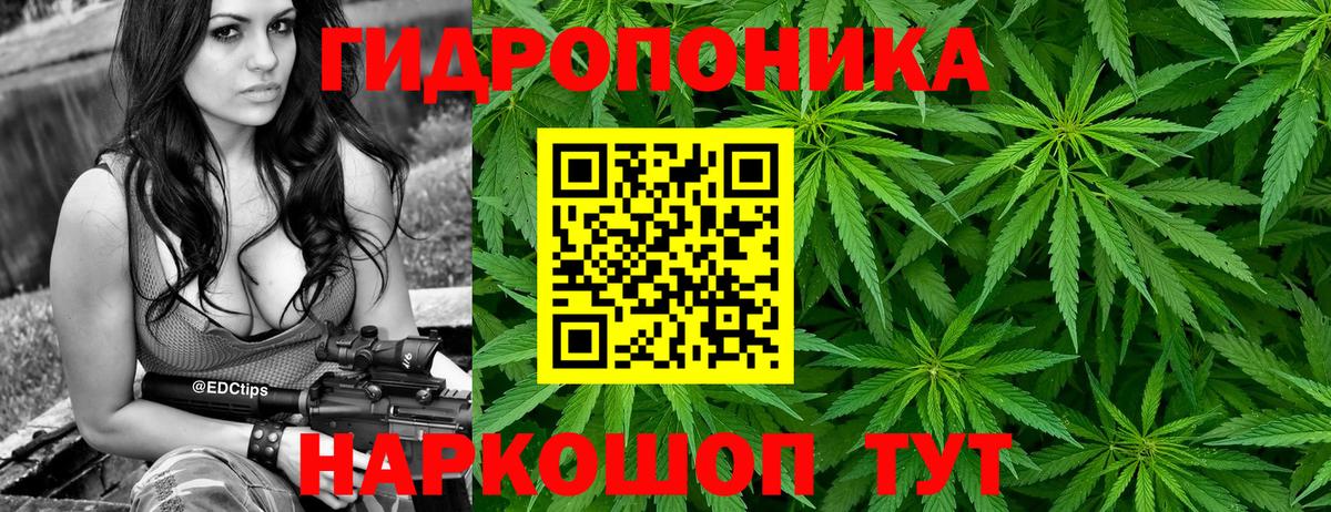 МАРИХУАНА THC 21% Зима
